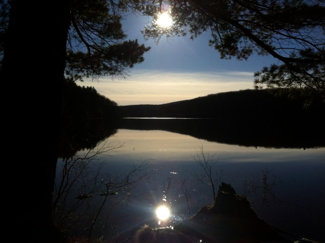 Benedict Pond, Monterey, November 2012