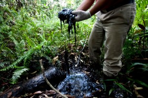 Toxic wastes from Texaco-Chevron are poisoning people and animals alike in Ecuador