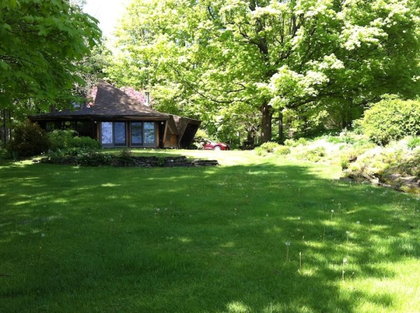 The rock garden runs up the whole length of the lawn beside the house.  It's hard to see the rocks here, as they've been covered with plants, which my mom regularly scrapes off to reveal the contours of the rock again.   This big rock garden took years to accomplish.