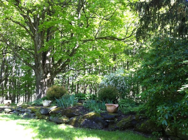 This is one of the most recent gardens, just outside the pottery studio, next to the oldest tree on the property, a venerable sugar maple