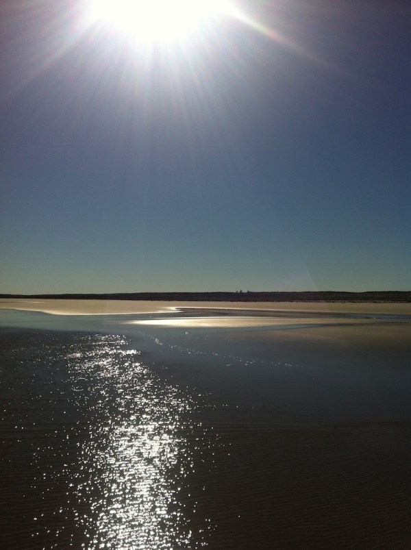 Browdy de Hernandez 2013