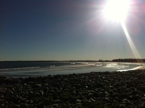 Cherry Hill Beach copy