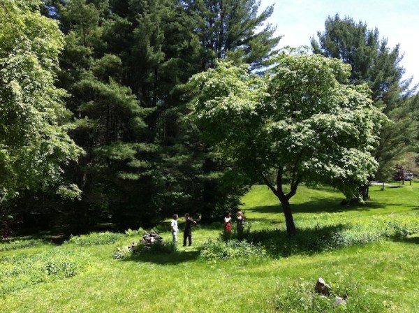 After the last circle