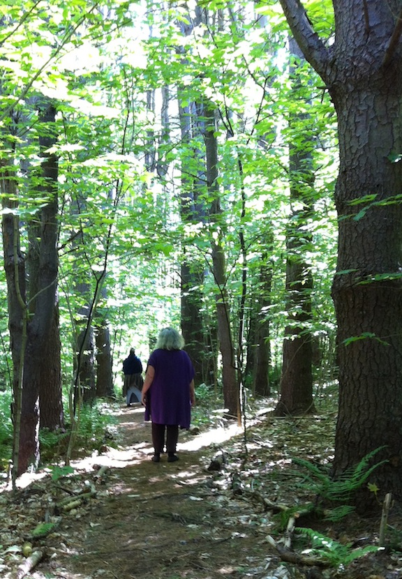 Starhawk on the path