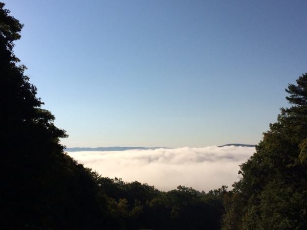 1604741_560811498264_7010113564277153021_n