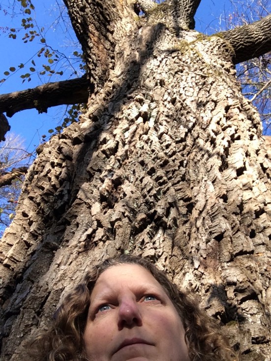 Rooted like the trees that shelter and inspire me