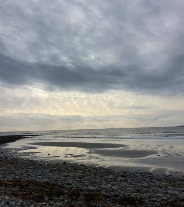 Photo c. J. Browdy, 2015