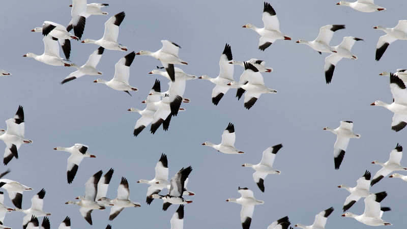 qlc7kcpxcjhf9rkjbkbg