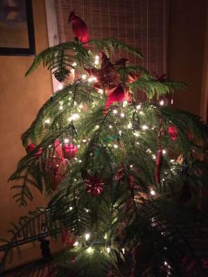 25591989_625386244954_8388774816549944067_n