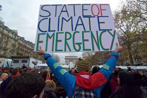 45556308_2196060180428146_6080871236626284544_n